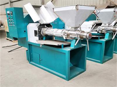 Multi Function Soybean Oil Press Machine
